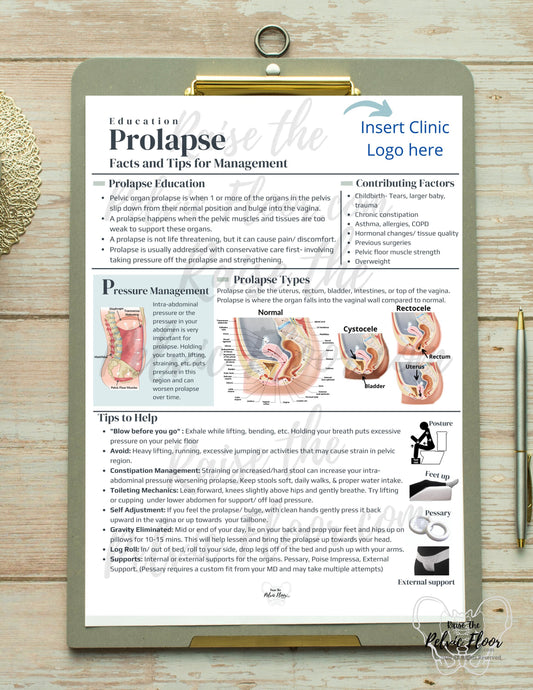 DIGITAL DOWNLOAD* Prolapse Patient Education Handout | Rectocele, Cystocele, Uterine Bulge 8.5 x11" Handout Info | Pelvic Floor Health