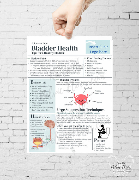 DIGITAL DOWNLOAD* Bladder Health Patient Education Handout | Bladder Irritants & Health 8.5 x11" Handout Minimalist | Pelvic Floor Health