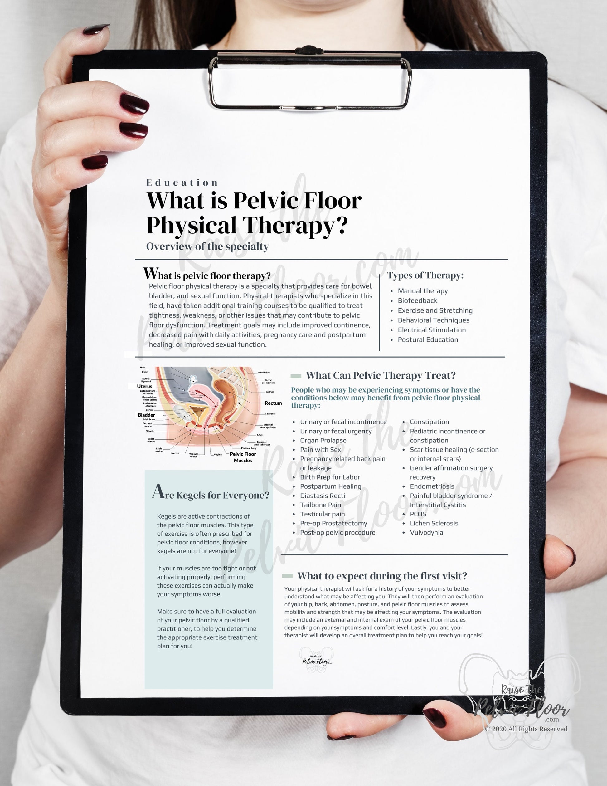What is Pelvic Floor Physical Therapy Handout | *DIGITAL DOWNLOAD* Patient Education and Marketing Flyer-Pelvic Health, Pelvic Floor, Kegel