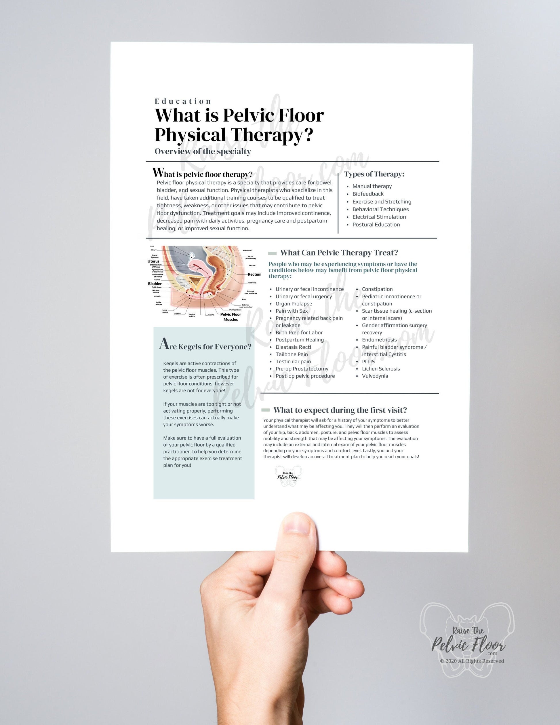 What Is Pelvic Floor Physical Therapy Handout DIGITAL DOWNLOAD Pat what-is-pelvic-floor-physical-therapy-handout-digital-download-pat