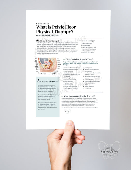 What is Pelvic Floor Physical Therapy Handout | *DIGITAL DOWNLOAD* Patient Education and Marketing Flyer-Pelvic Health, Pelvic Floor, Kegel