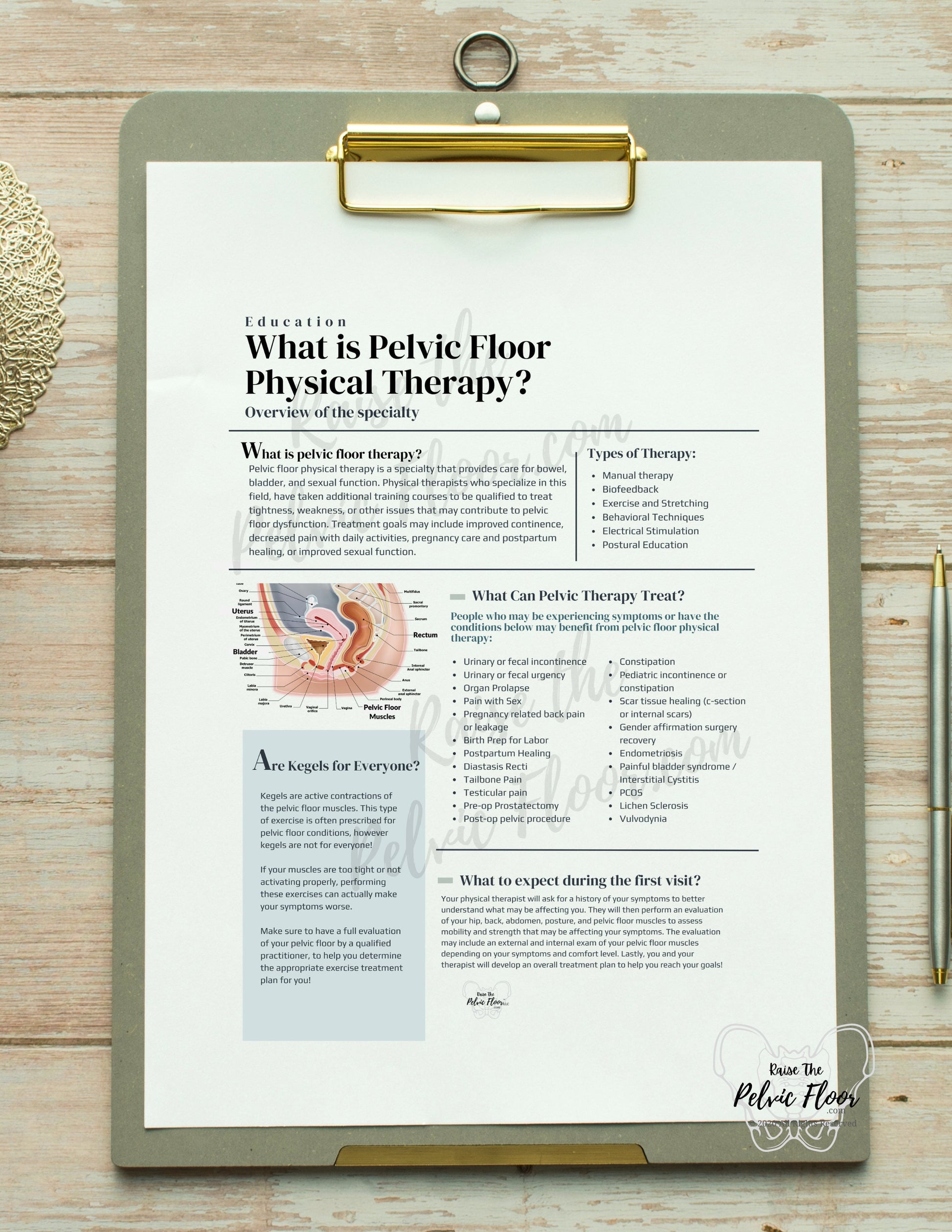What is Pelvic Floor Physical Therapy Handout | *DIGITAL DOWNLOAD* Patient Education and Marketing Flyer-Pelvic Health, Pelvic Floor, Kegel