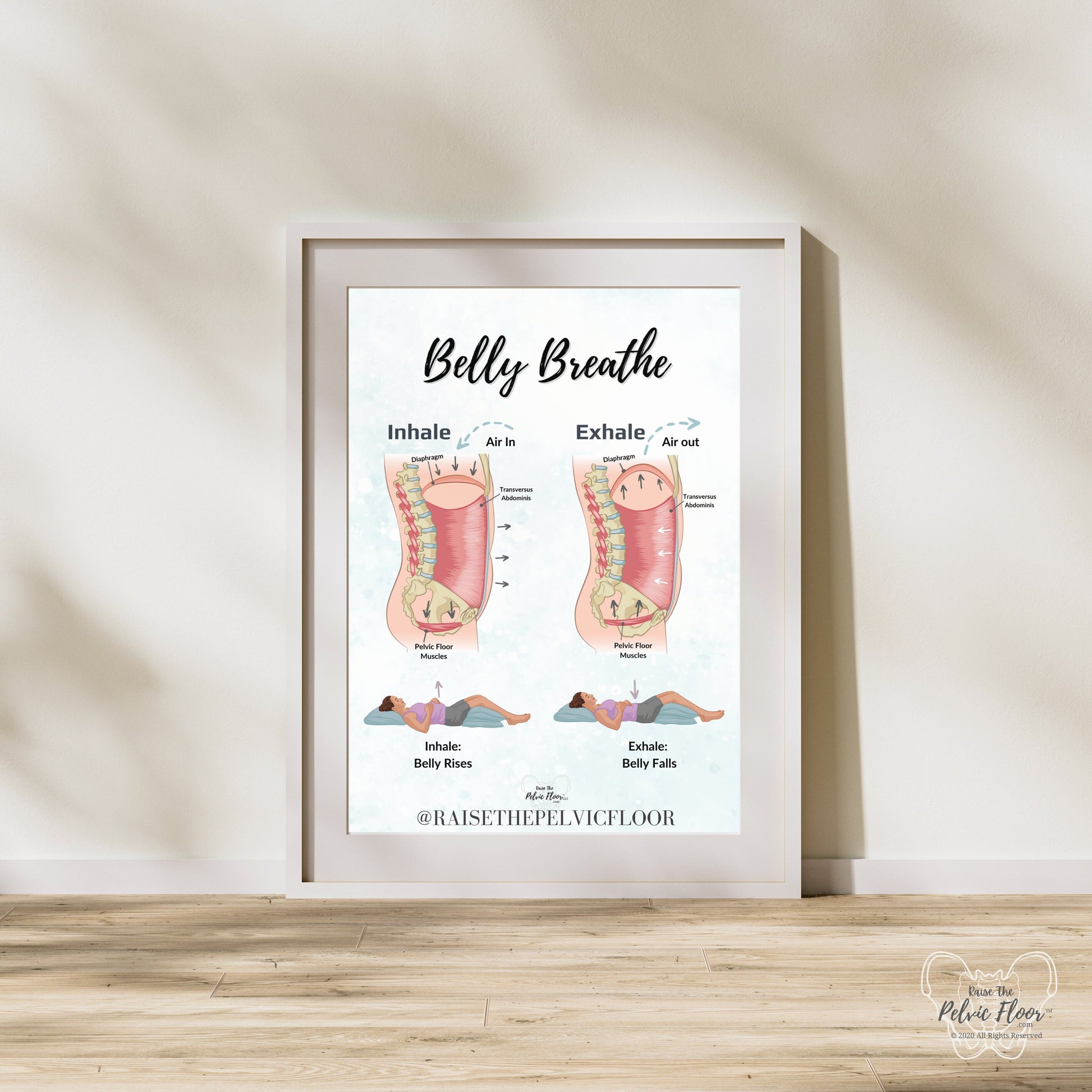 Belly Breathe Pelvic Floor *Digital Download* | Pelvic health artwork of the breath and core for pelvic therapy, meditation, yoga, pilates